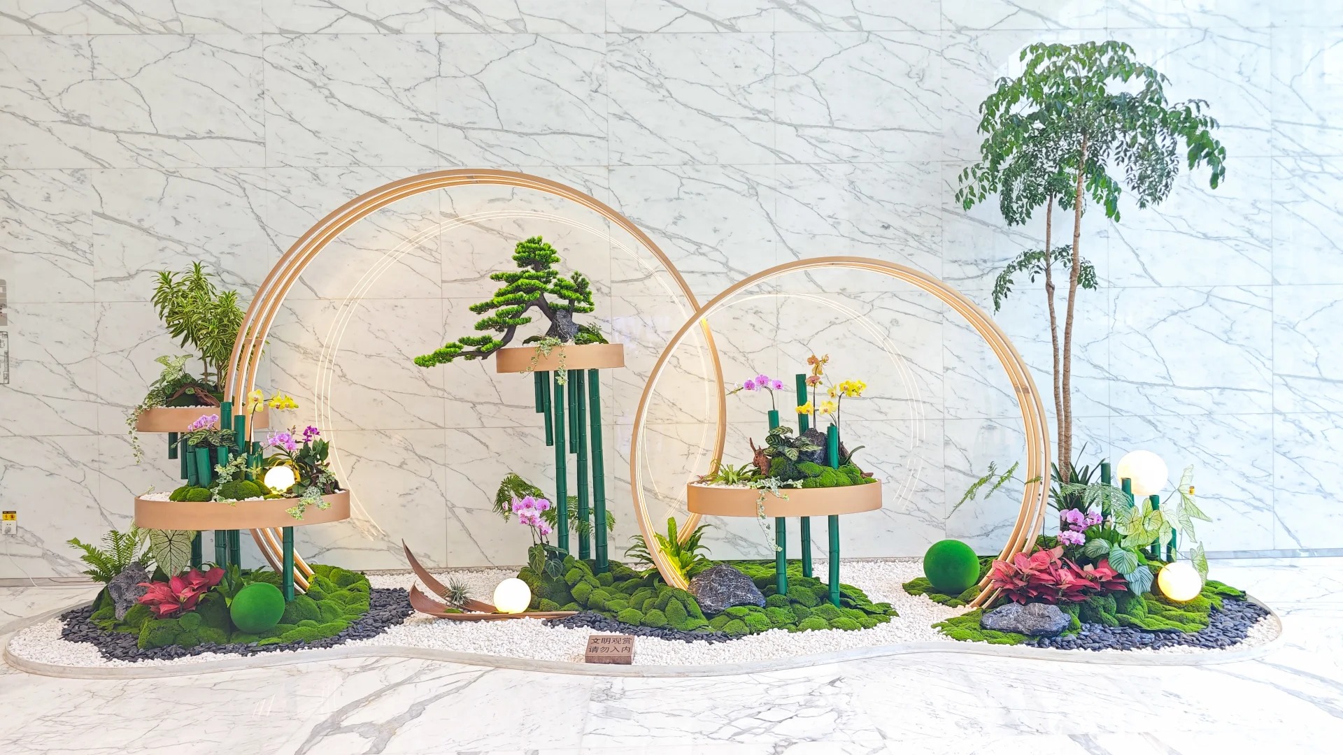 为何宁波镇海人都爱绿植出租?秘密在这里!